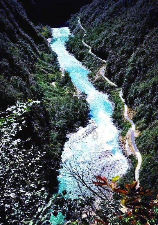 虫虫助手下载