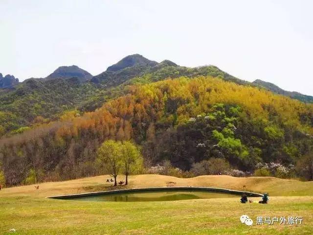 加入单身的理由是什么?知识星球,开启知识分享之旅